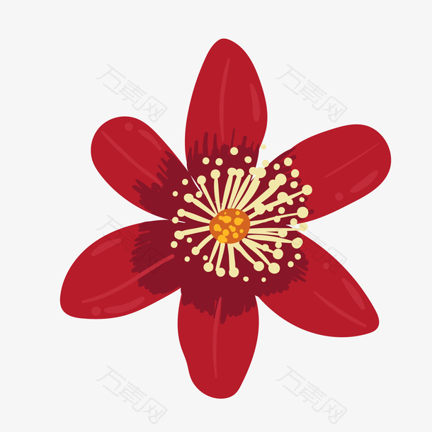 红白色六片花瓣花朵