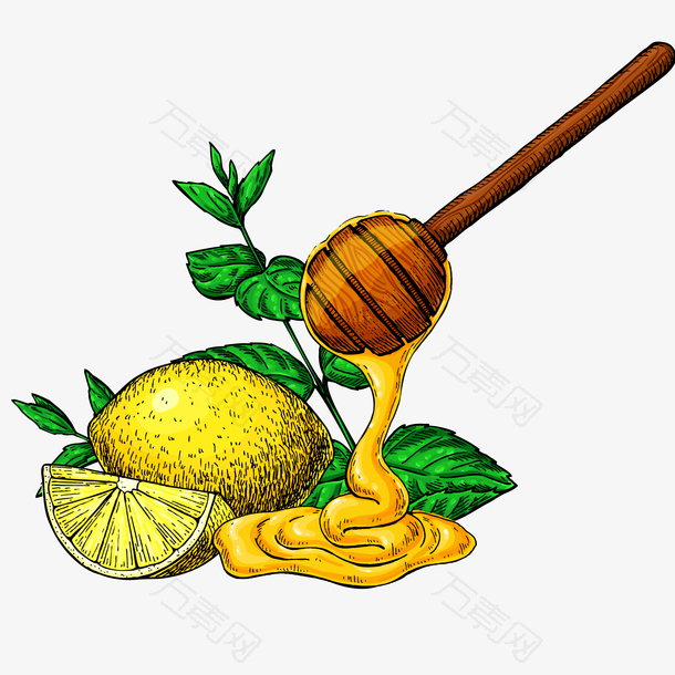 蜂蜜和柠檬手绘插画