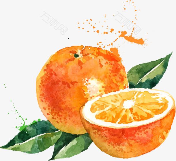 彩绘优化橙子水果