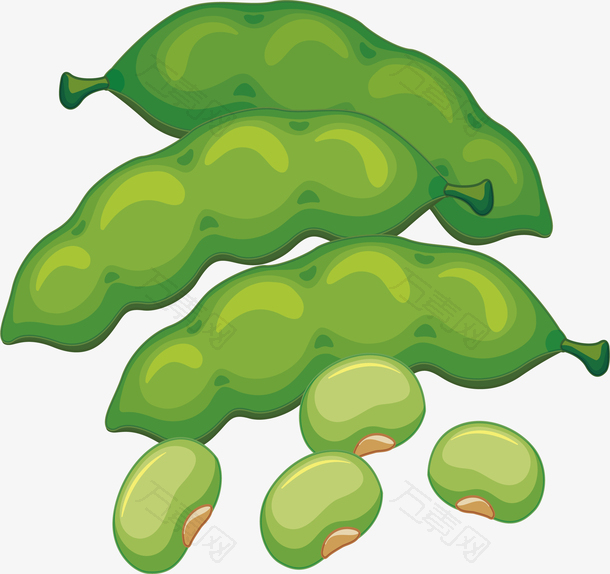 绿色植物蔬菜豌豆