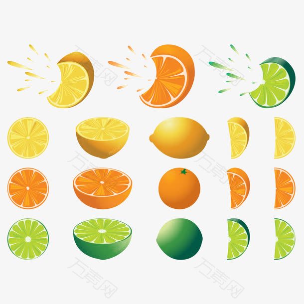 矢量图柠檬橘子截断面
