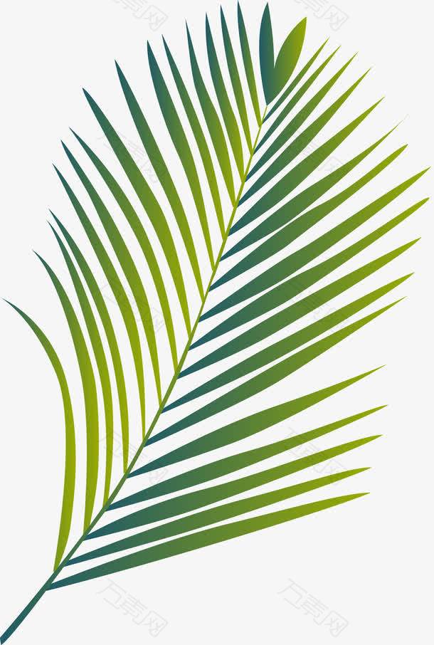 创意棕榈叶叶子图