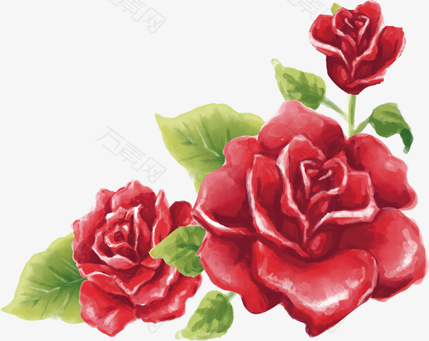 红色水彩玫瑰设计