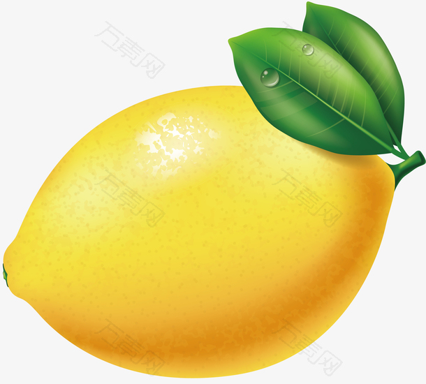 矢量柠檬