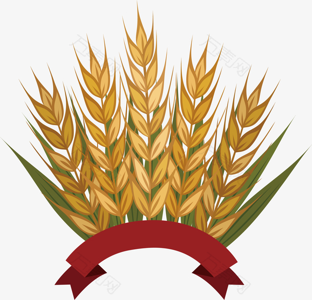 收割丰收季的金色小麦