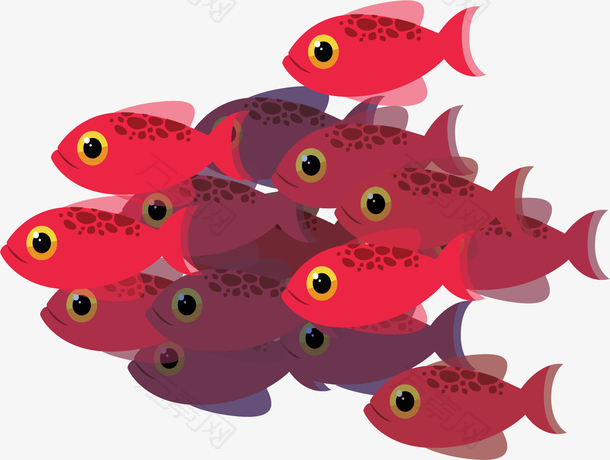 大海之中的红色鱼群