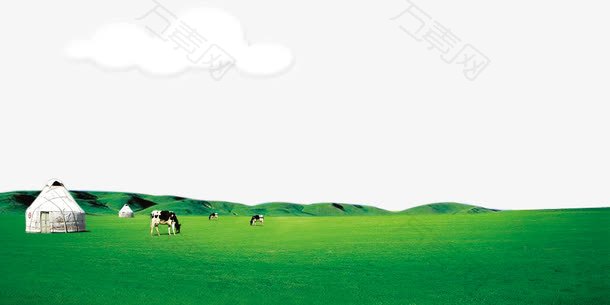 草原上的牛