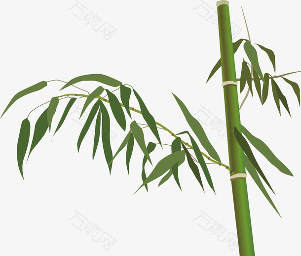 清明节手绘竹子素材
