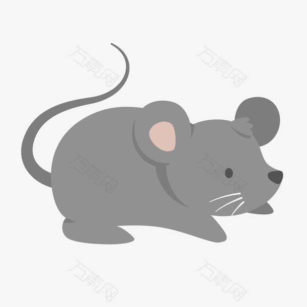 长尾巴的可爱动物老鼠