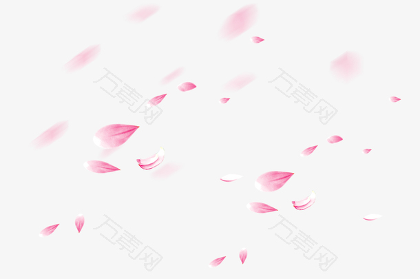 精美粉红色的花瓣免抠图