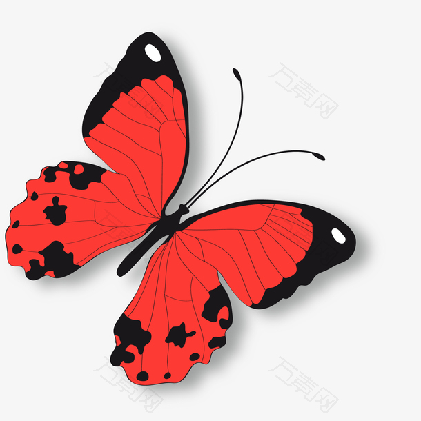 红色的蝴蝶昆虫设计