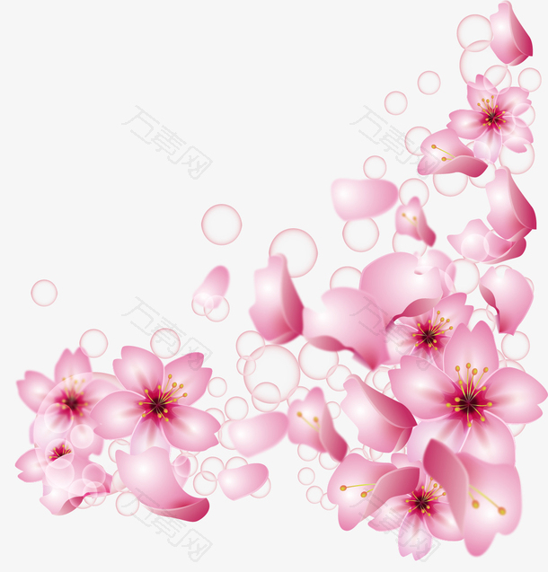 精美粉红樱花花纹