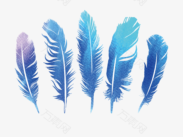蓝紫色的五个羽毛