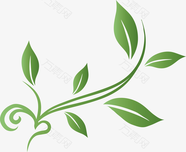 绿色叶子藤蔓装饰图