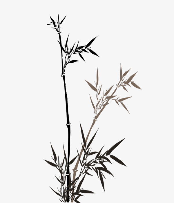 尺寸:2000*2349下载:4下载png下载psd水墨竹叶装饰背景下载png下载psd