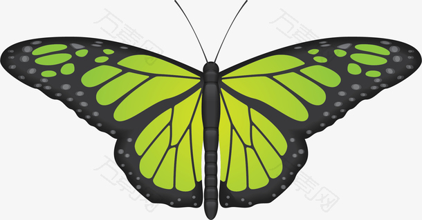 绿色弧形矢量蝴蝶