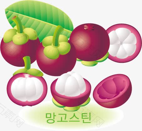 韩国风格精美诱人水果矢量素材山