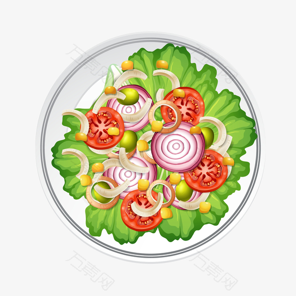 一盘洋葱西红柿生菜蔬菜