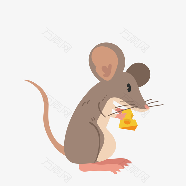棕色吃东西的老鼠