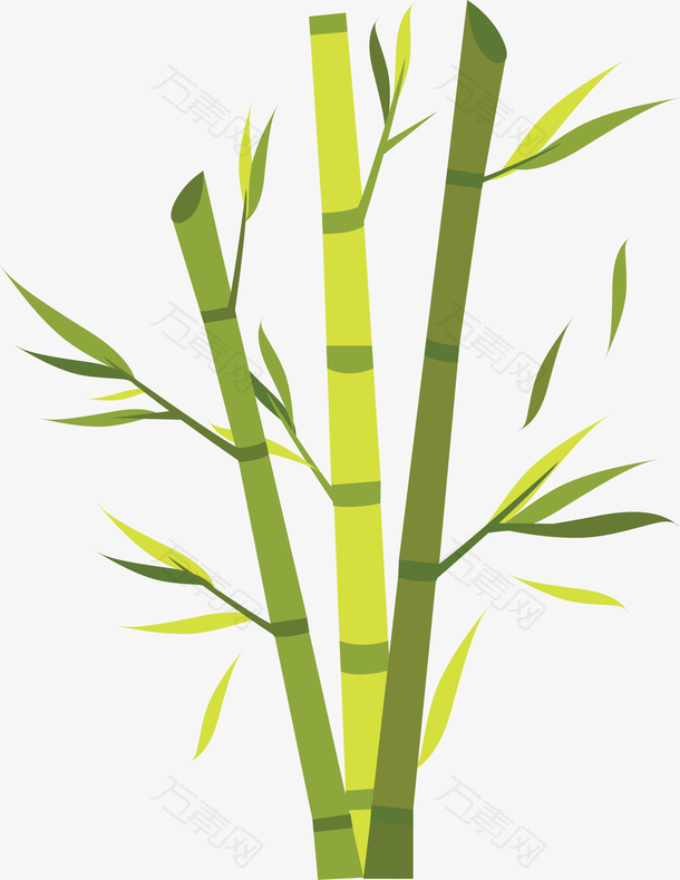 茂盛的绿色竹子竹林