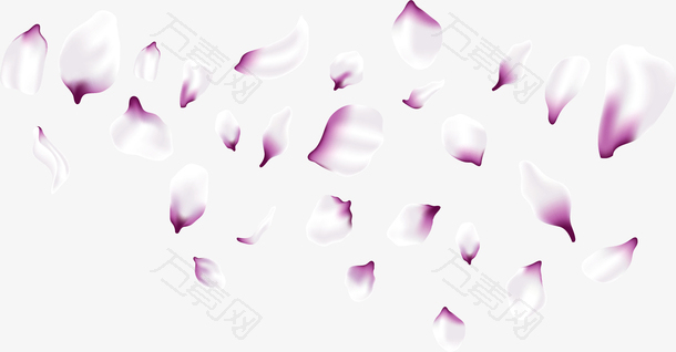 浪漫紫色樱花花瓣