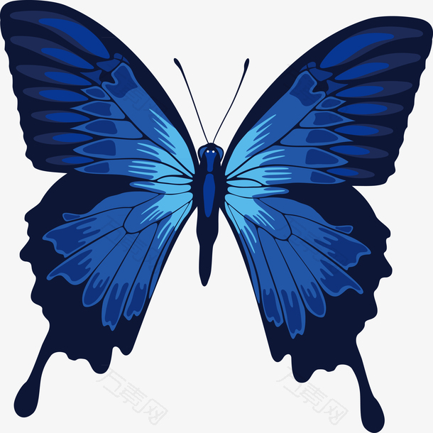 蓝色漂亮的蝴蝶手绘元素