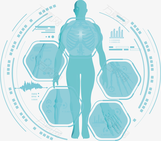 矢量蓝色科技人体
