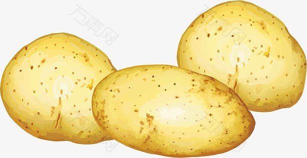 土豆png矢量素材