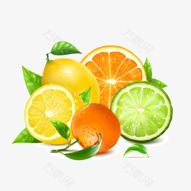 新鲜橙子和柠檬矢量
