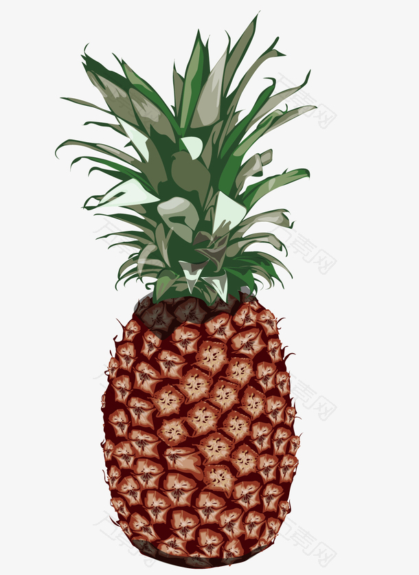 一个手绘菠萝图案