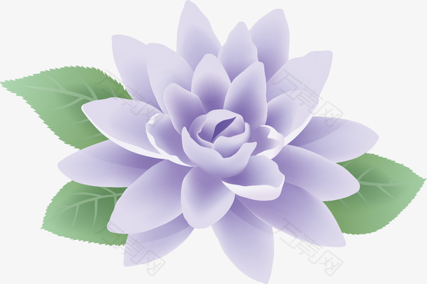梦幻紫色花朵图案