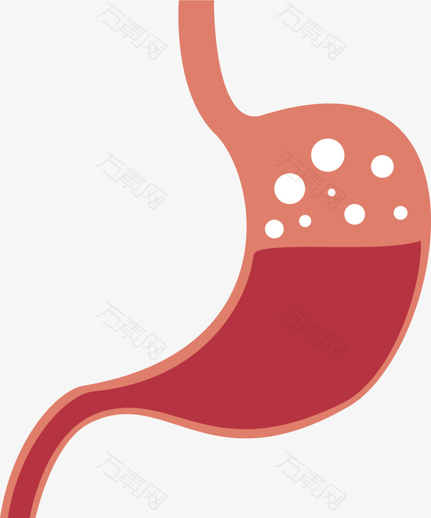 矢量图水彩红色胃脏