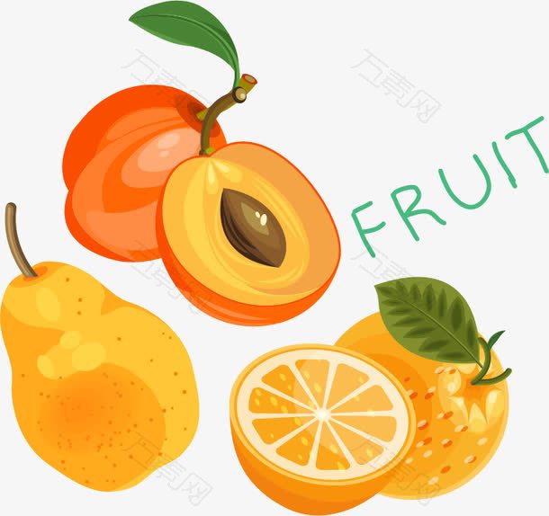 水果橙子杏梨PNG矢量素材