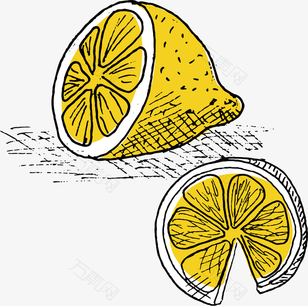 矢量手绘柠檬果素材