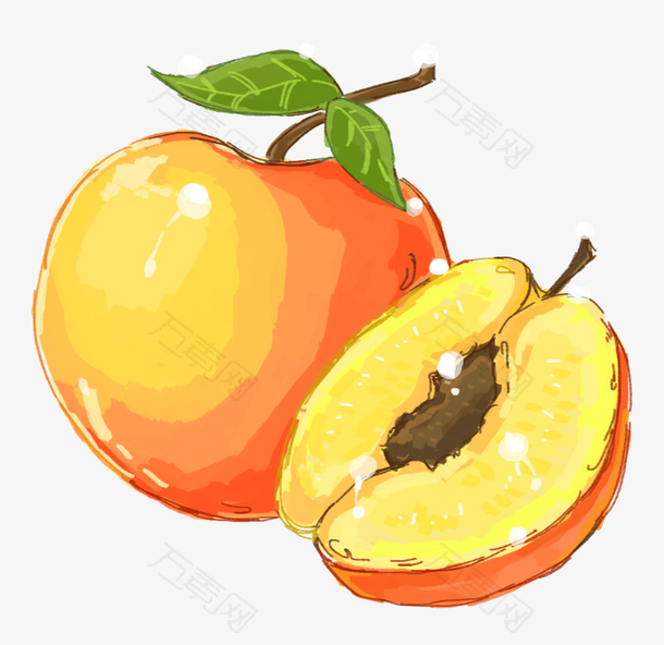 手绘黄桃水果元素