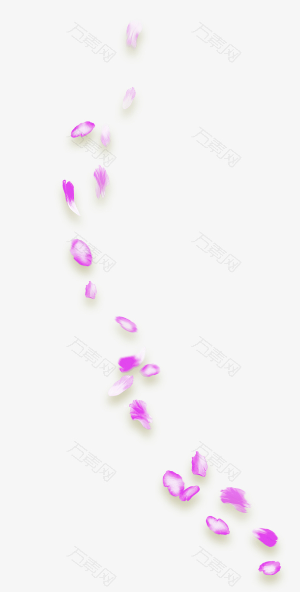 精美紫色花瓣免抠素材