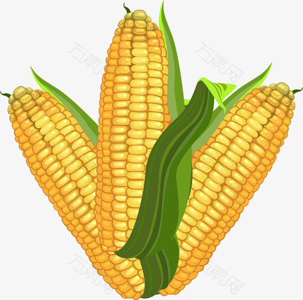 卡通玉米矢量图