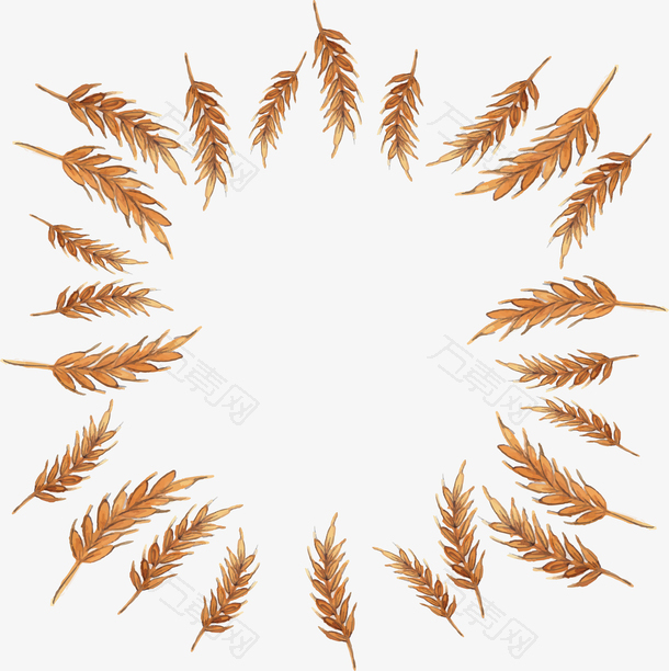 秋天麦穗标题框