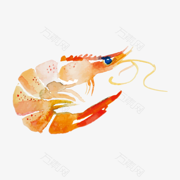 彩色水墨虾类美食元素