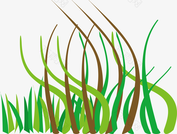 真实的绿色小草长在石头的小草