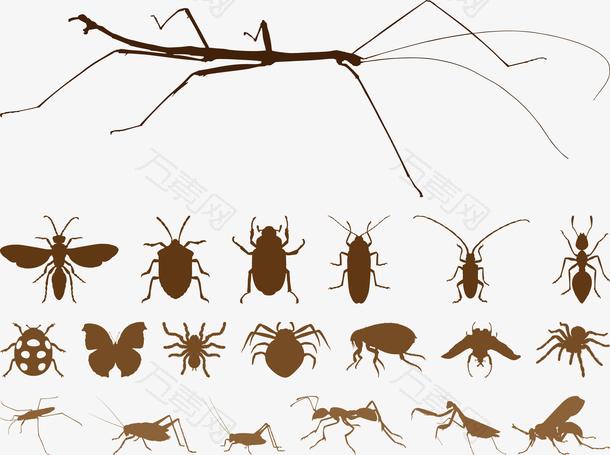 昆虫剪影棕色矢量图