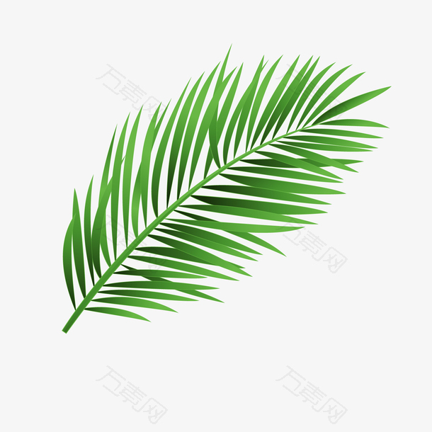 卡通绿色棕榈树树叶