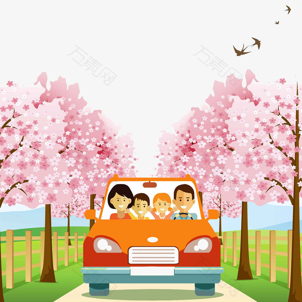 一家人自驾游观赏樱花