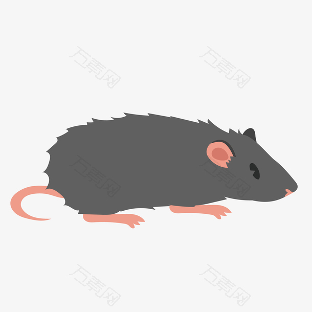 黑色毛发设计小老鼠