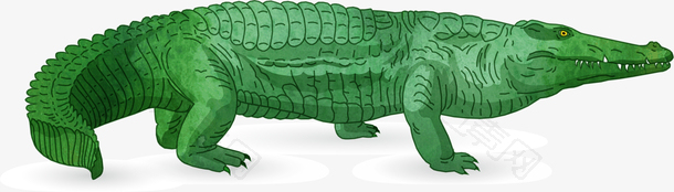 立体矢量肥硕的卡通鳄鱼
