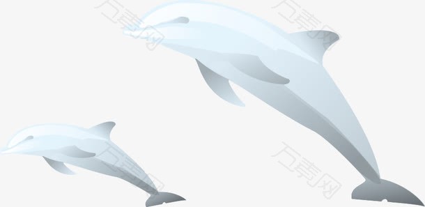 鲨鱼鲸鱼
