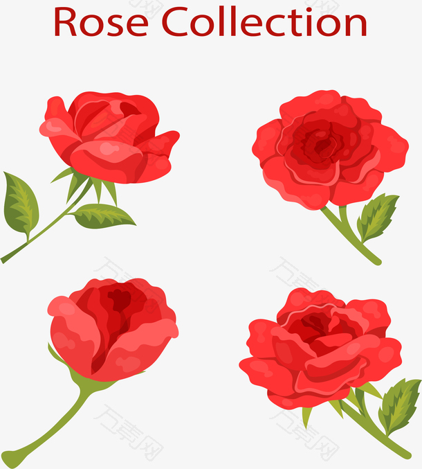 4款美丽红色玫瑰花矢量素材