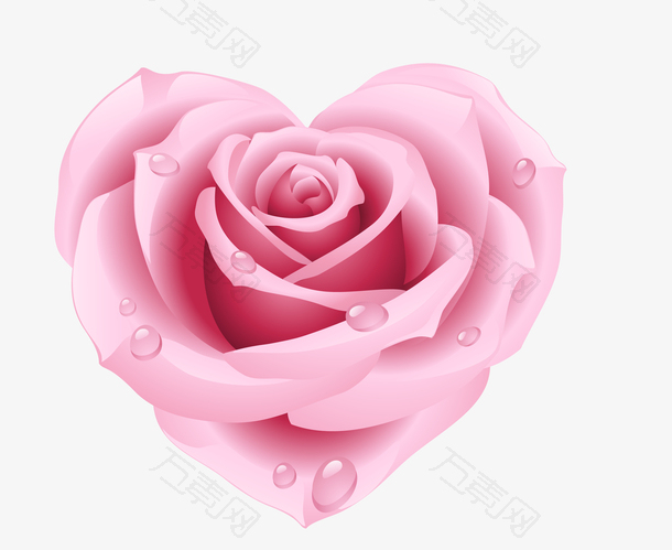 粉红色心形玫瑰