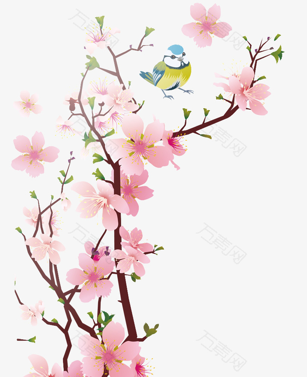 中国风粉色美丽的梅花