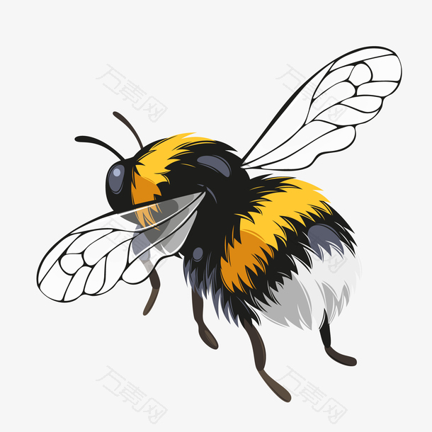 水彩手绘蜜蜂昆虫设计